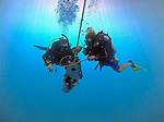Deep-___ Diver