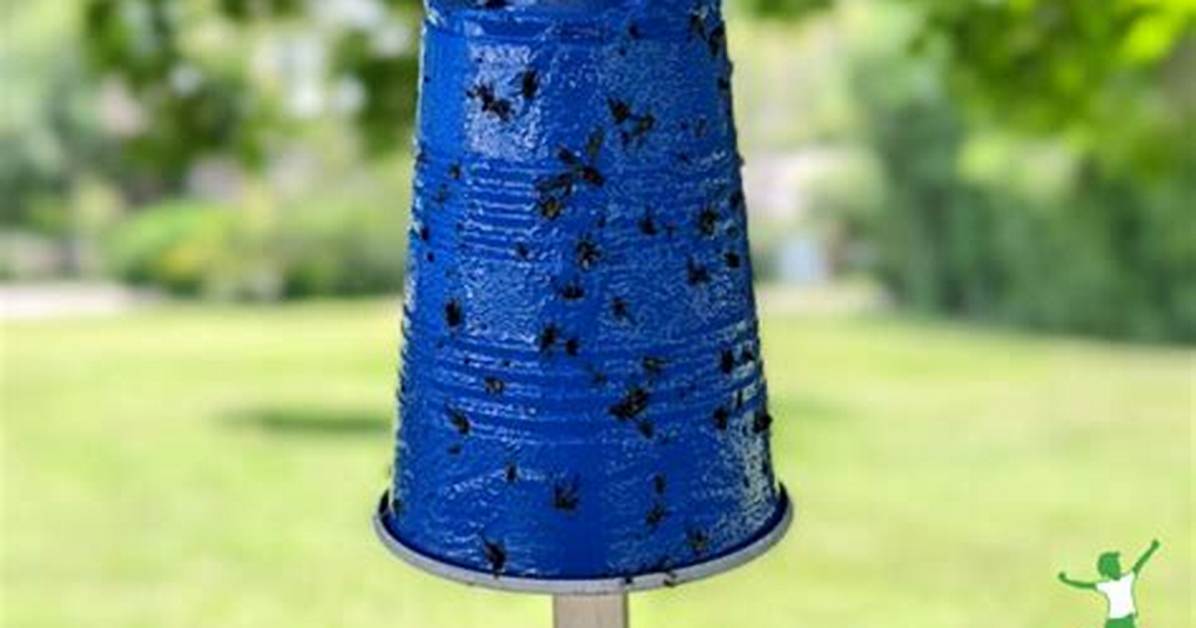 Deer Fly Trap
