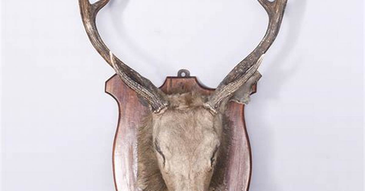 Deer Head
