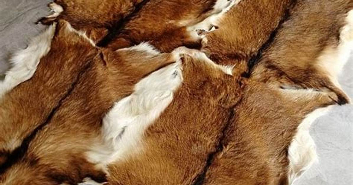 Deer Hide