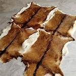 Deer Hide