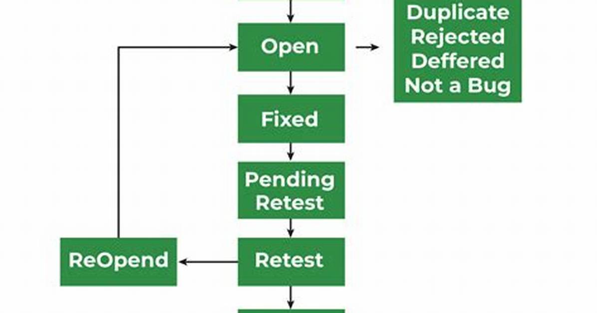 Defect Life Cycle