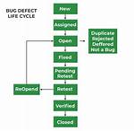 Defect Life Cycle