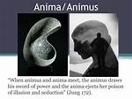 Define Animus