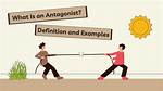 Define Antagonism