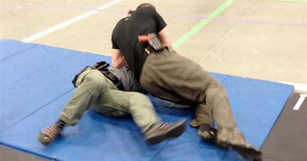 Define Combative