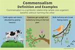 Define Commensalism