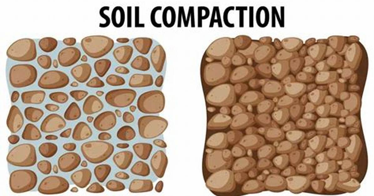 Define Compaction