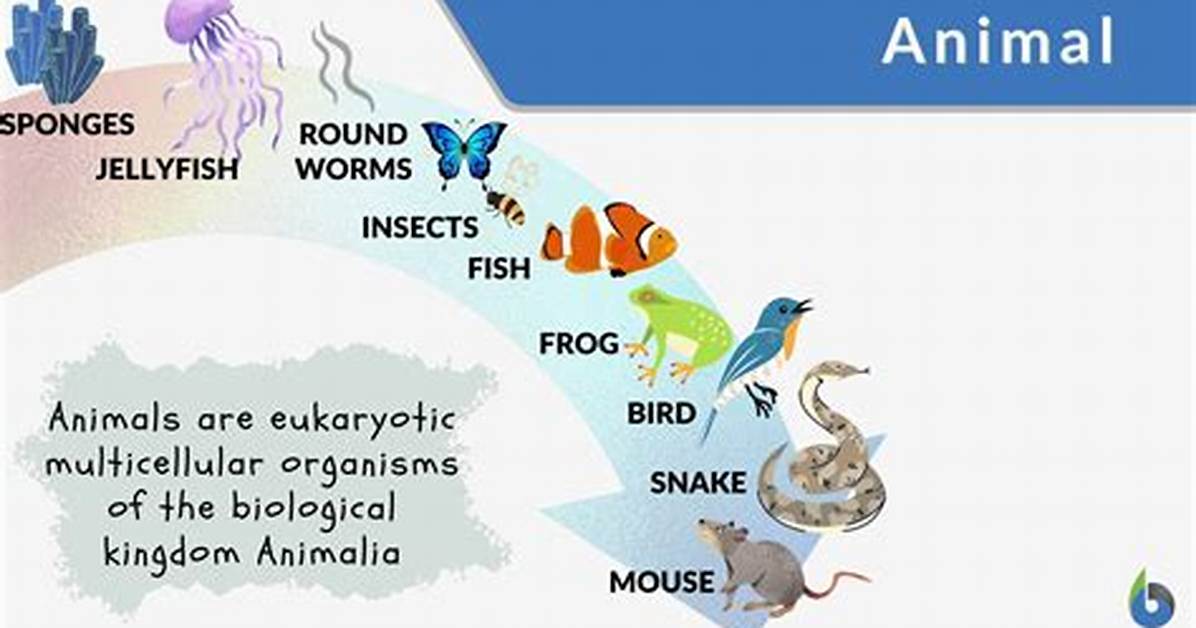 Define Creature