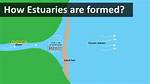 Define Estuary