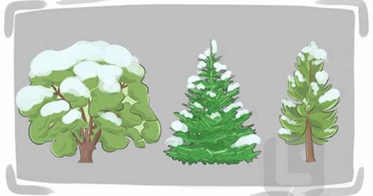 Define Evergreen