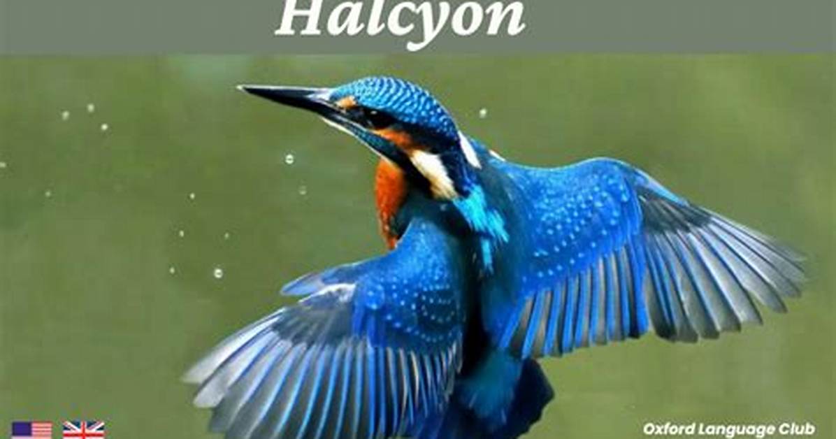 Define Halcyon