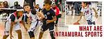 Define Intramural