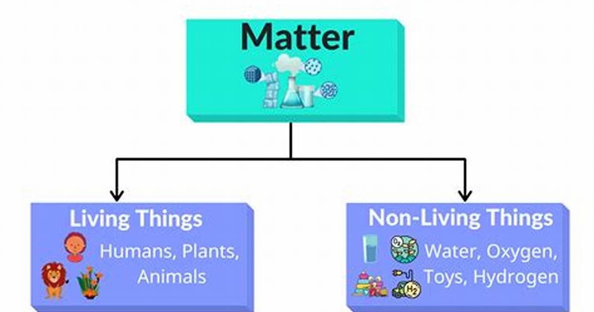 Define Matter Class 9