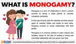 Define Monogamy