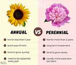 Define Perennial