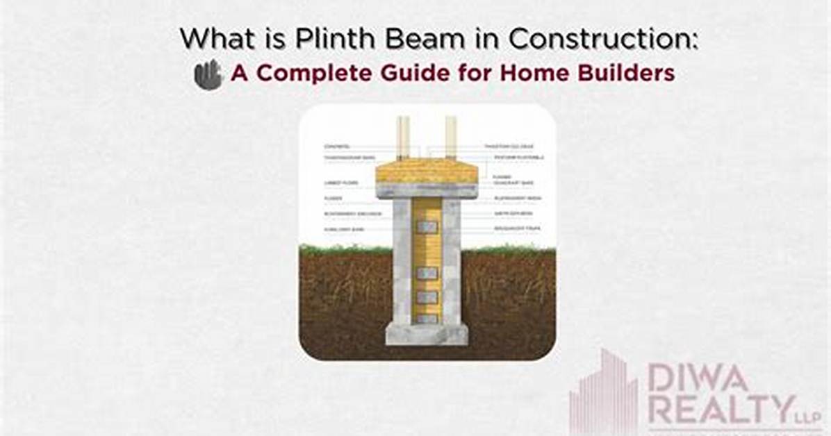 Define Plinth