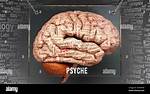 Define Psyche