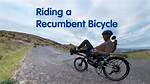 Define Recumbent