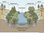 Define Riparian