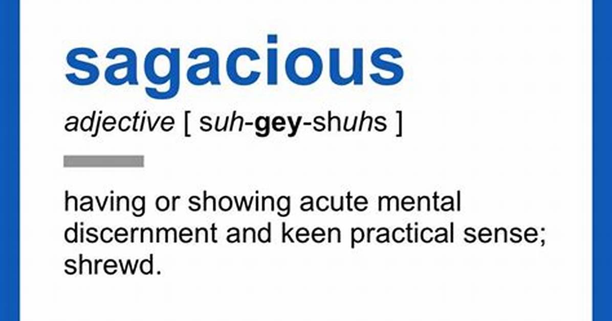 Define Sagacious