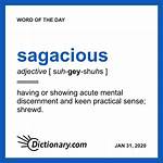 Define Sagacious