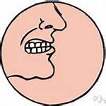 Define Snarl