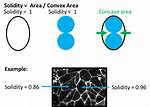 Define Solidity