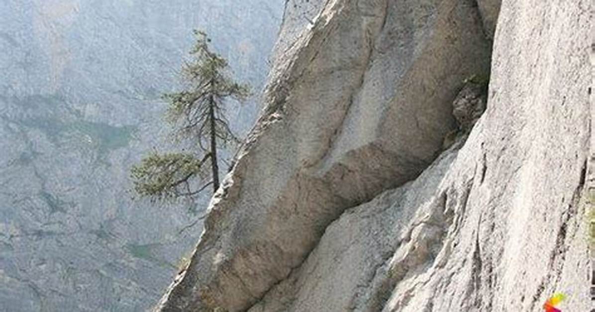 Define Steep