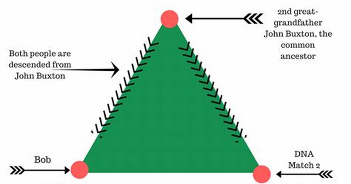 Define Triangulation