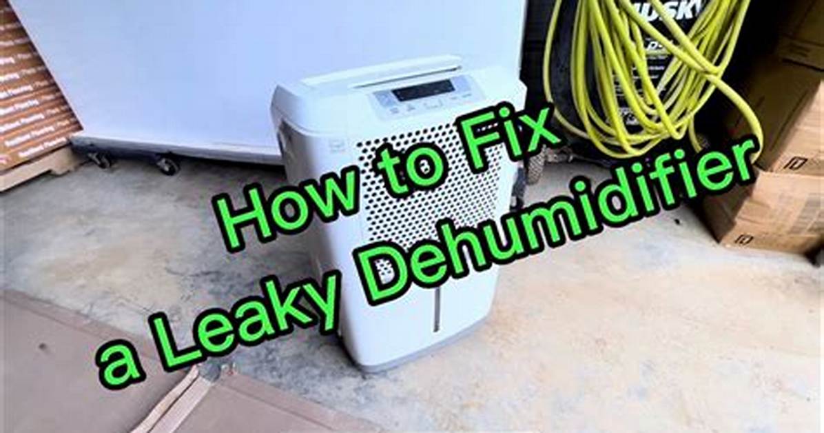 Dehumidifier Leaking