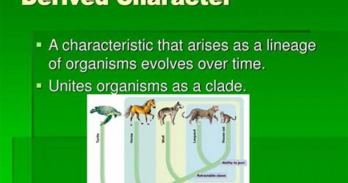 Derived Character