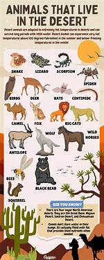 Desert Animals List