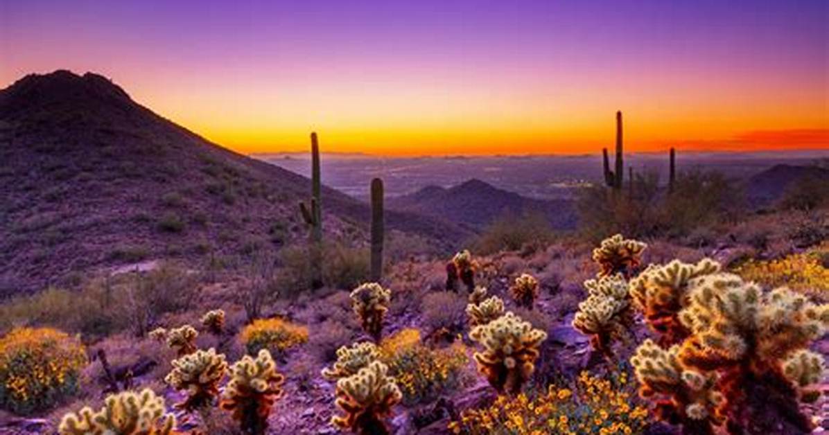 Desert Spring