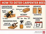 Deterring Carpenter Bees