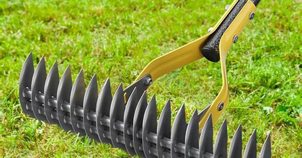 Dethatcher Rake