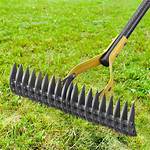 Dethatcher Rake
