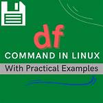 'Df' Command Doesn't Show File System Requested in Ubuntu 14.04
