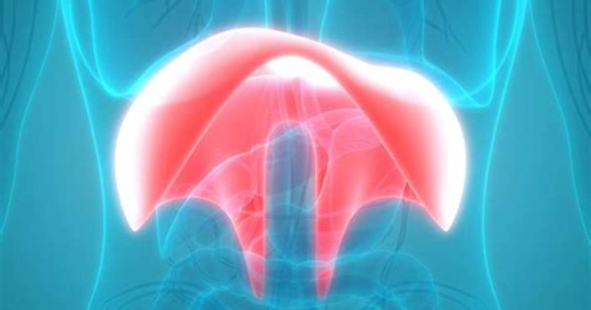 Diaphragm Flutter