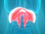 Diaphragm Flutter