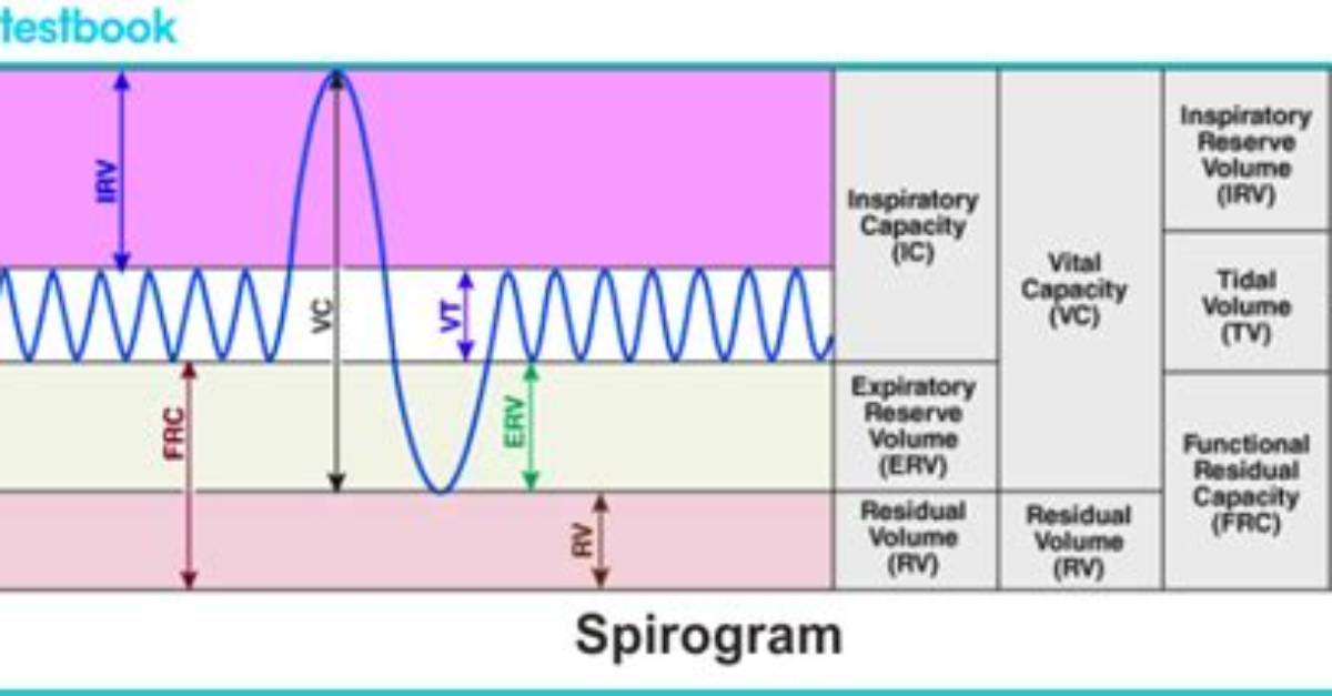 Did All the Spirogram Values Return to Normal?