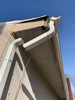 Did Fall into the Gutter?