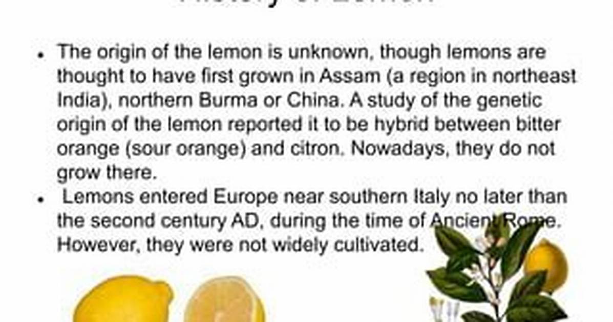 Did Humans Create Lemons?