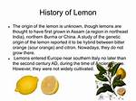 Did Humans Create Lemons?