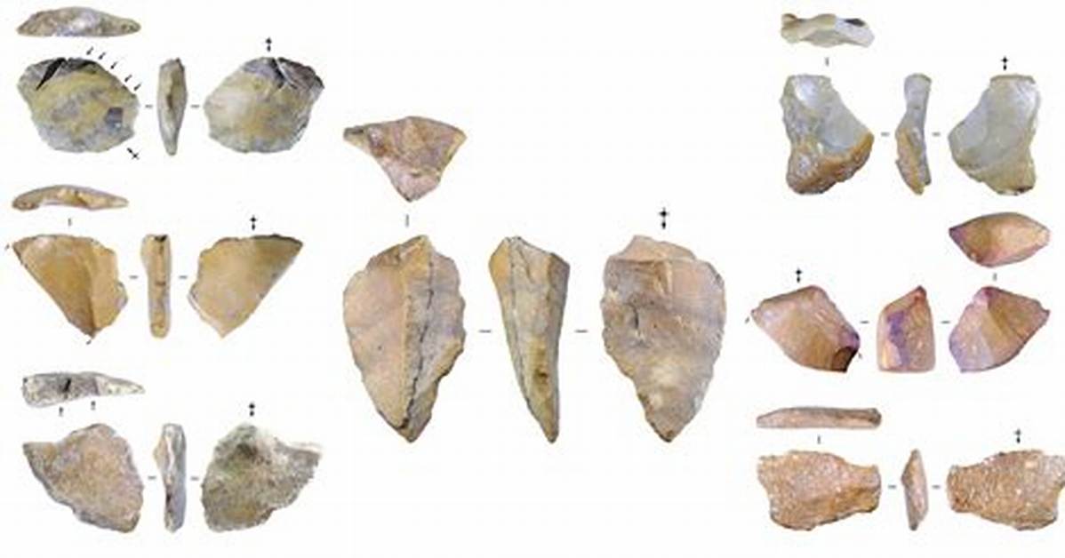 Did Robustus Use Tools?