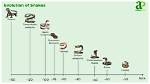 Did Snakes Evolve from Eels?