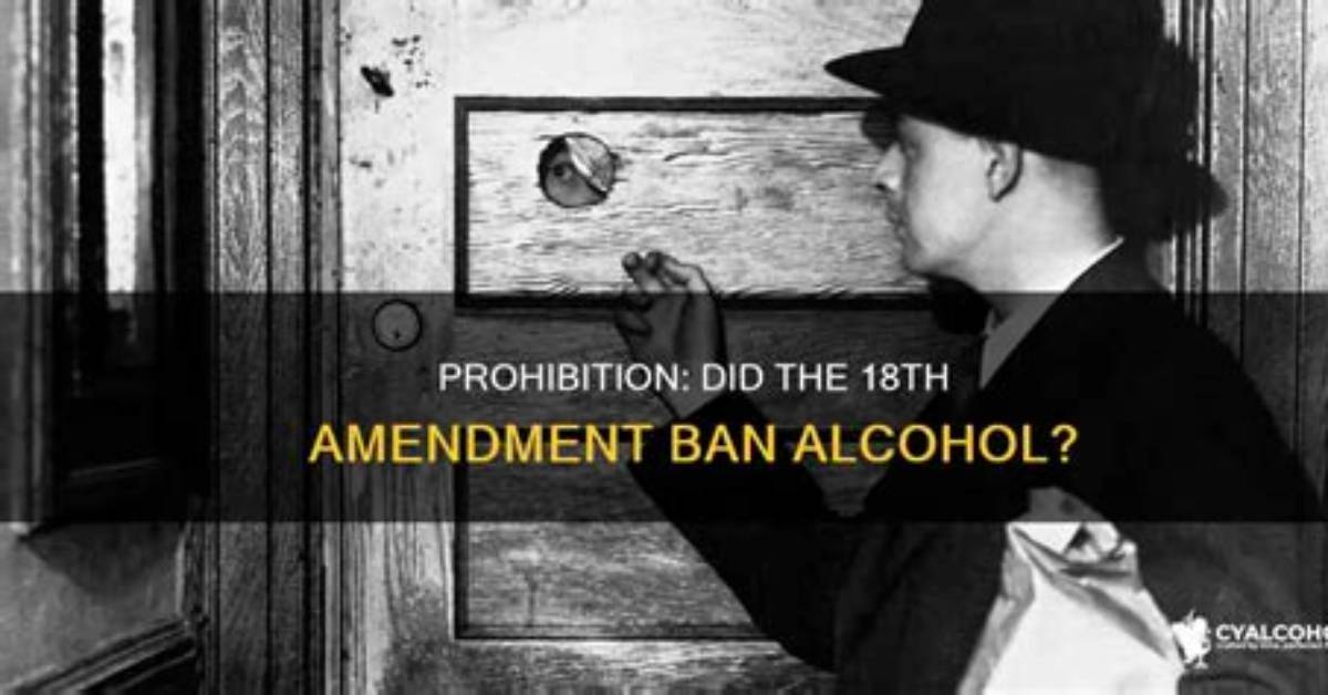 Did the 18Th Amendment Fail?