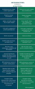 Difference Between Archaebacteria and Eubacteria