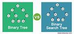 Difference Between Binary Tree and Binary Search Tree