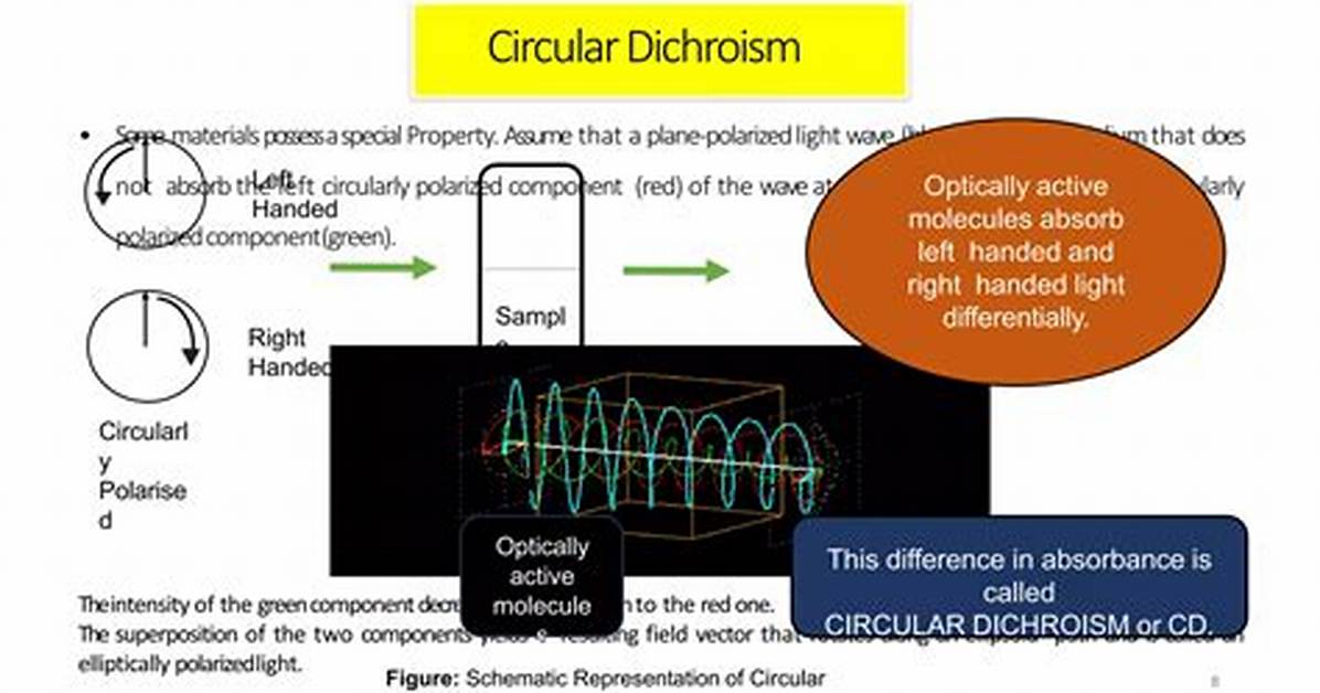 Difference Between Cd and Function Chdir